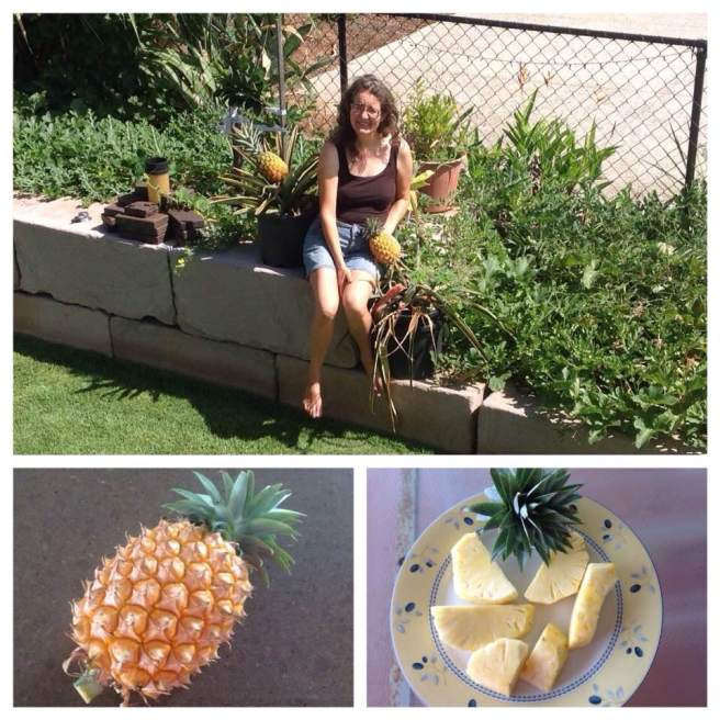 Birthday Pineapple January 2016